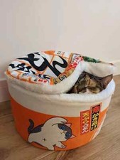 Cute Instant Noodle Pet Cat