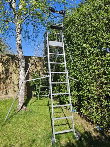 Large tall adjustable - tall, 3.2m