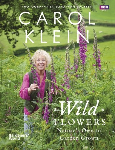 Wild flowers nature - wild, to