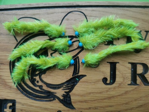 Olive eggstacy worms - eggstacy, fly