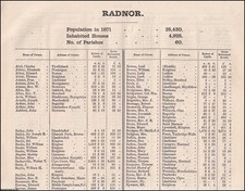 1873. RADNORSHIRE. THE NAMES