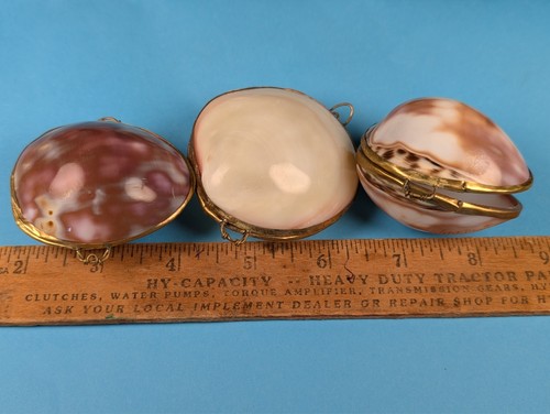 Antique shell trinket boxes - antique,