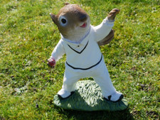 Cricket Playing Squirrel