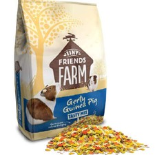 GERTY GUINEA PIG TASTY MIX -