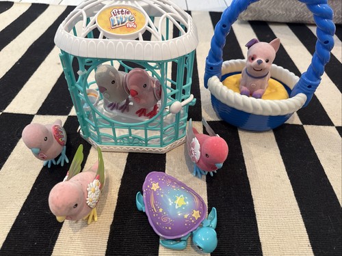 Large little live pet - large,