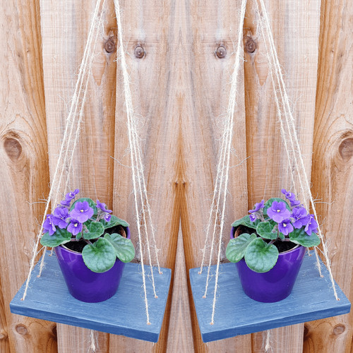 Set garden plant - of, herbs