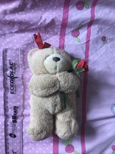 Forever friends bear - bear, toy