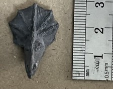 Vintage Citadel 1980s Fantasy