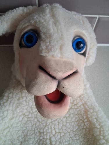 Axtell expressions spare lamb - axtell,