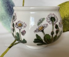 Vintage Portmeirion Botanic