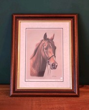 Halling Equine Portrait Horse