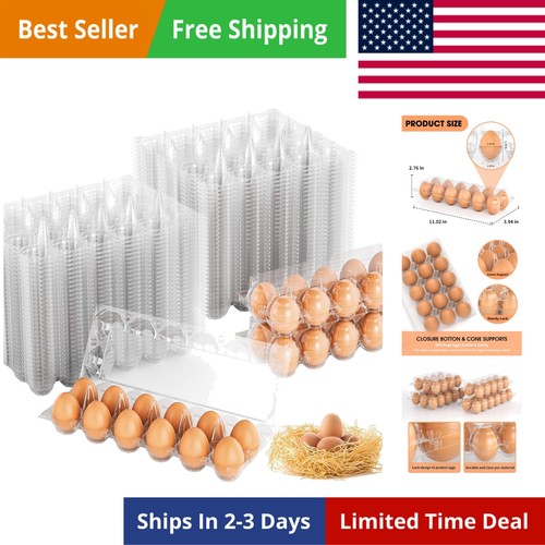 Egg cartons cheap - egg, bulk