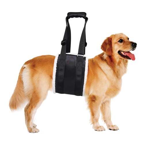 Dog support sling back - support,