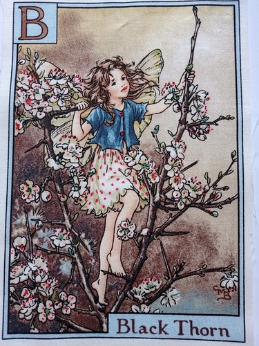 Black thorn alphabet - b,