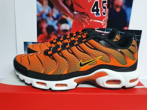 Nike air max plus - plus, safety