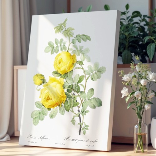 Yellow roses flowers vintage - yellow,