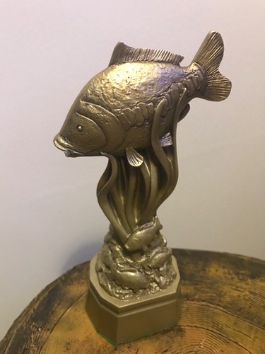 Fishing trophy ideal - ideal, for