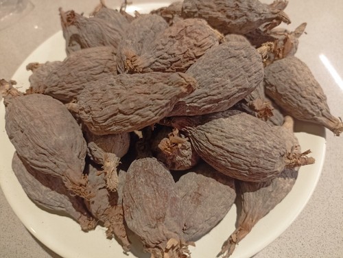 Alligator pepper x21 - pepper, pods