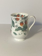 Roy Kirkham Alpine Strawberry