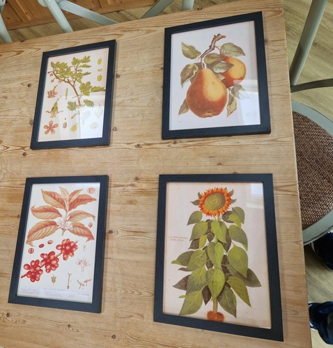 Decorative art four framed - art:,