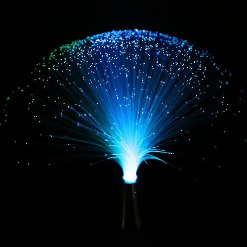 Fiber optic fountain night - optic,