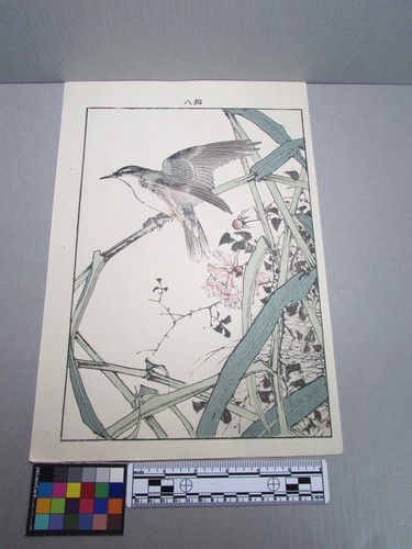 Woodblock print - woodblock,