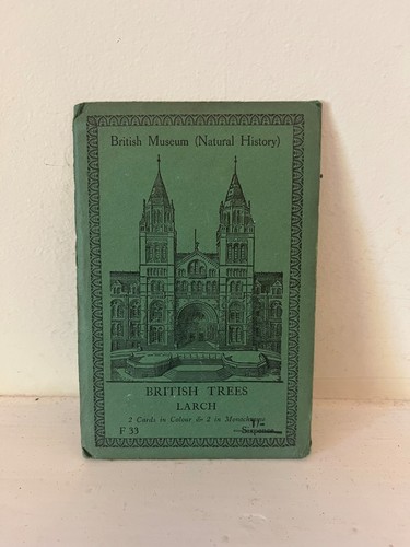 Vintage 1931 british museum - vintage,