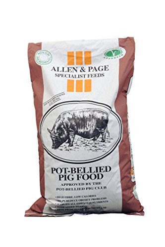 Allen page pot bellied - &, pig
