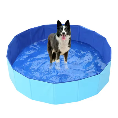 Large foldable dog - dog, swimming