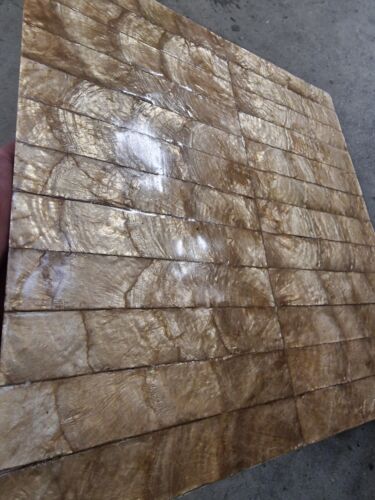 Gold brown capiz shell - gold/brown, tile