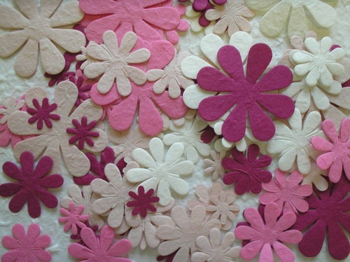 100 diecut daisy - daisy, flower