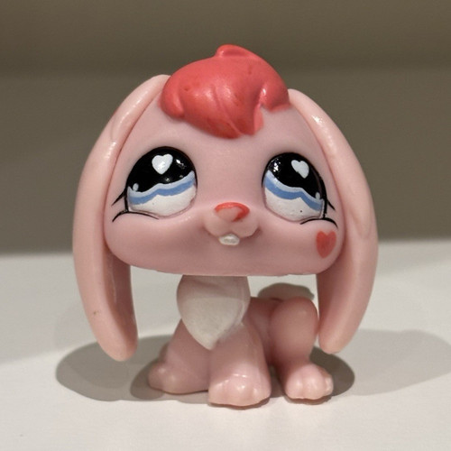 Lps heart rabbit 557 - rabbit, #557