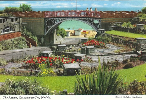 23120 postcard showing the - showing,