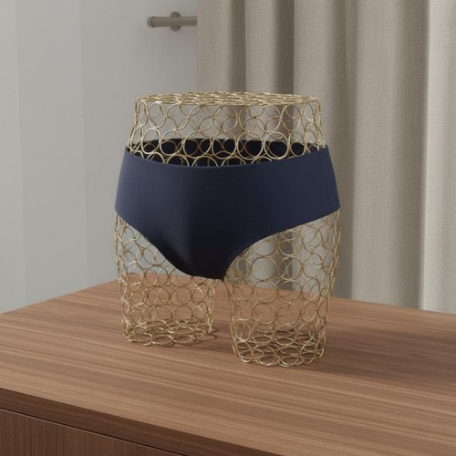 Iron underwear display form - iron,