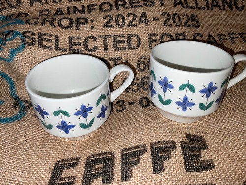 Midwinter roselle cups 2 - cups,
