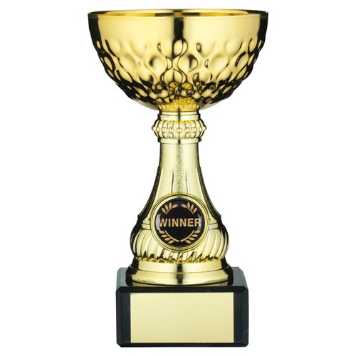 Sports cup affordable plastic - affordable,