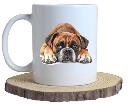 Boxer dog laying down - boxer,