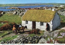 VINTAGE POSTCARD Thatched