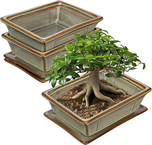Ceramic bonsai pots - ceramic, with