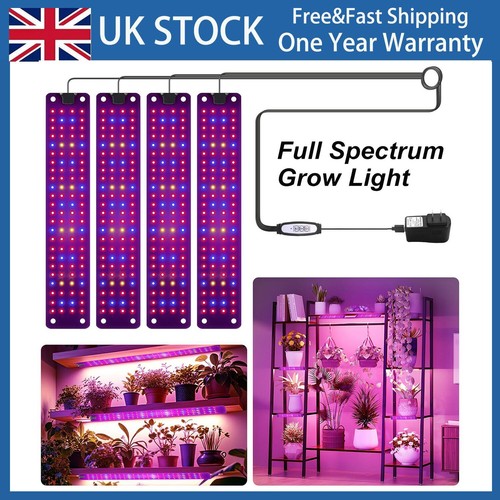 Head led plant - 2-4,