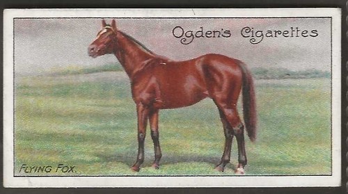 Ogdens racehorses 1907 horse - 1907, (horse