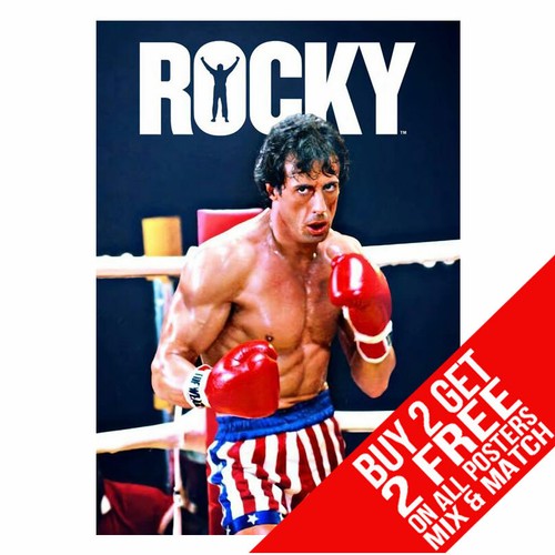 Rocky bb6 boxing - rocky, gym