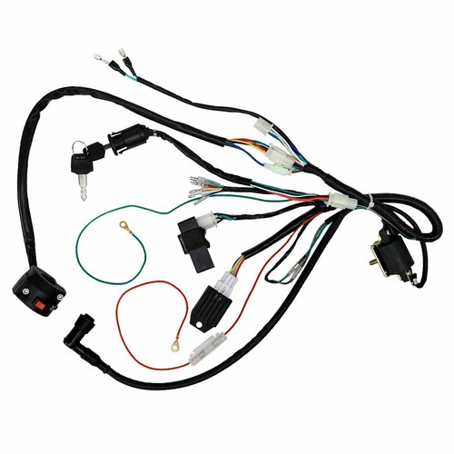 Complete wiring harness - complete, w/