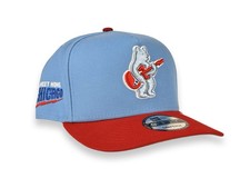 Chicago Cubs Rock Bear MLB New