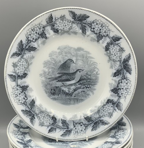 Pearlware transferware - pearlware,
