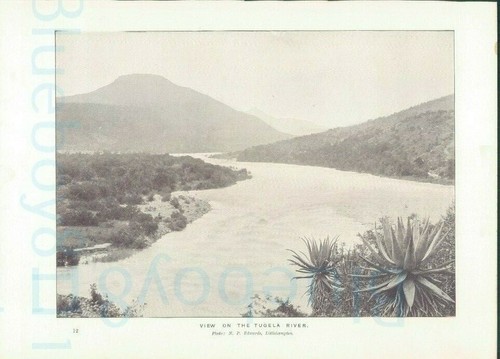 Edwardian print view tugela - edwardian,