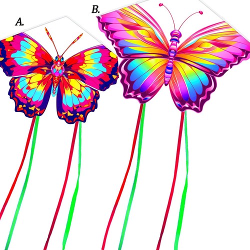 Beautiful butterfly colorful - beautiful,