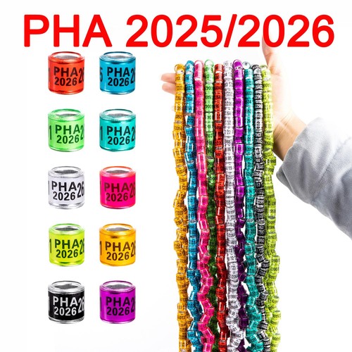 2026 multicolor 60pcs - 2026, bird