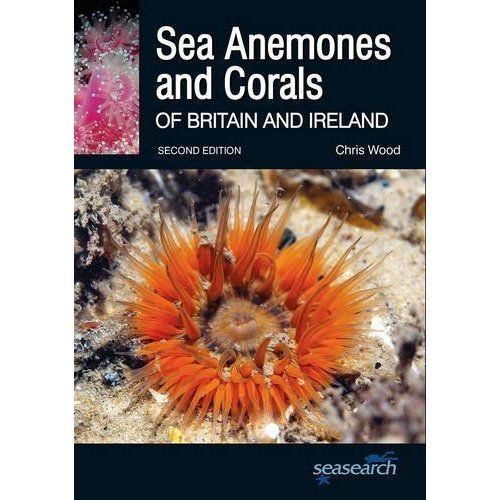 Sea anemones and corals - anemones,