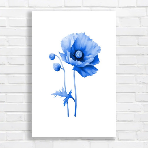 Vibrant pink poppy blue - vibrant,